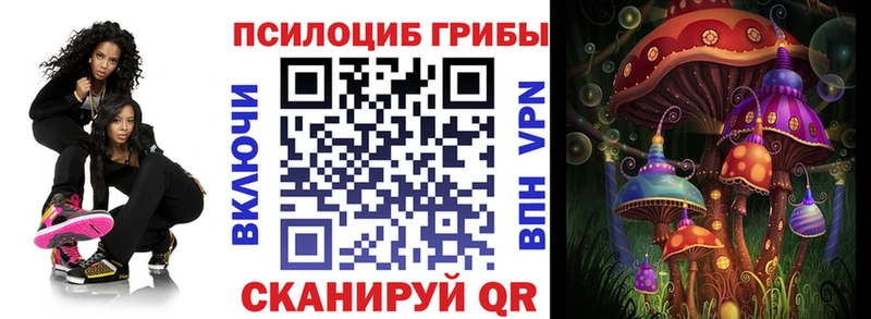купить  цена  Пыталово  Псилоцибиновые грибы GOLDEN TEACHER 